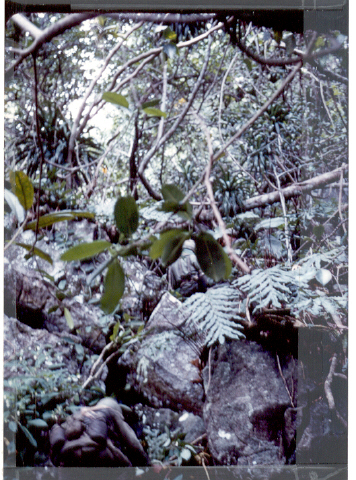 Climbing the saddle of NUI BA DEN Sept'67